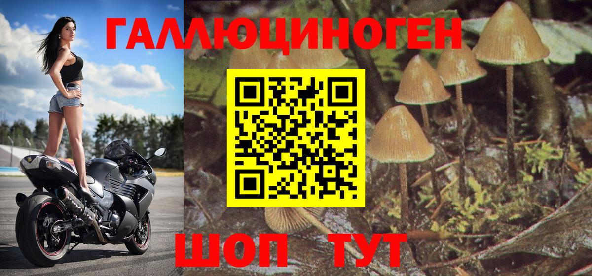 Арсеньев  купить   Вход с VPN  Галлюциногенные грибы Magic Shrooms 